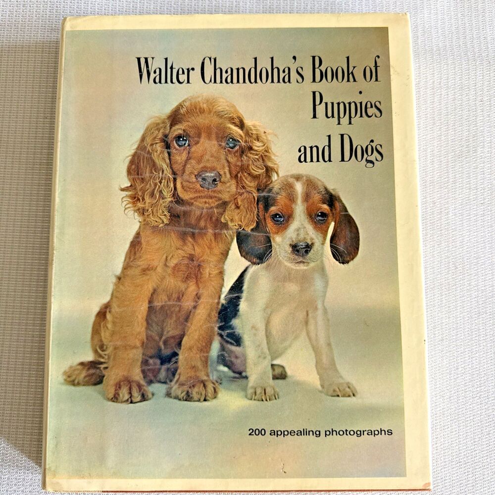 Vintage Walter Chandoha's Book of Puppies and Dogs 1969 Hardback Mid Century